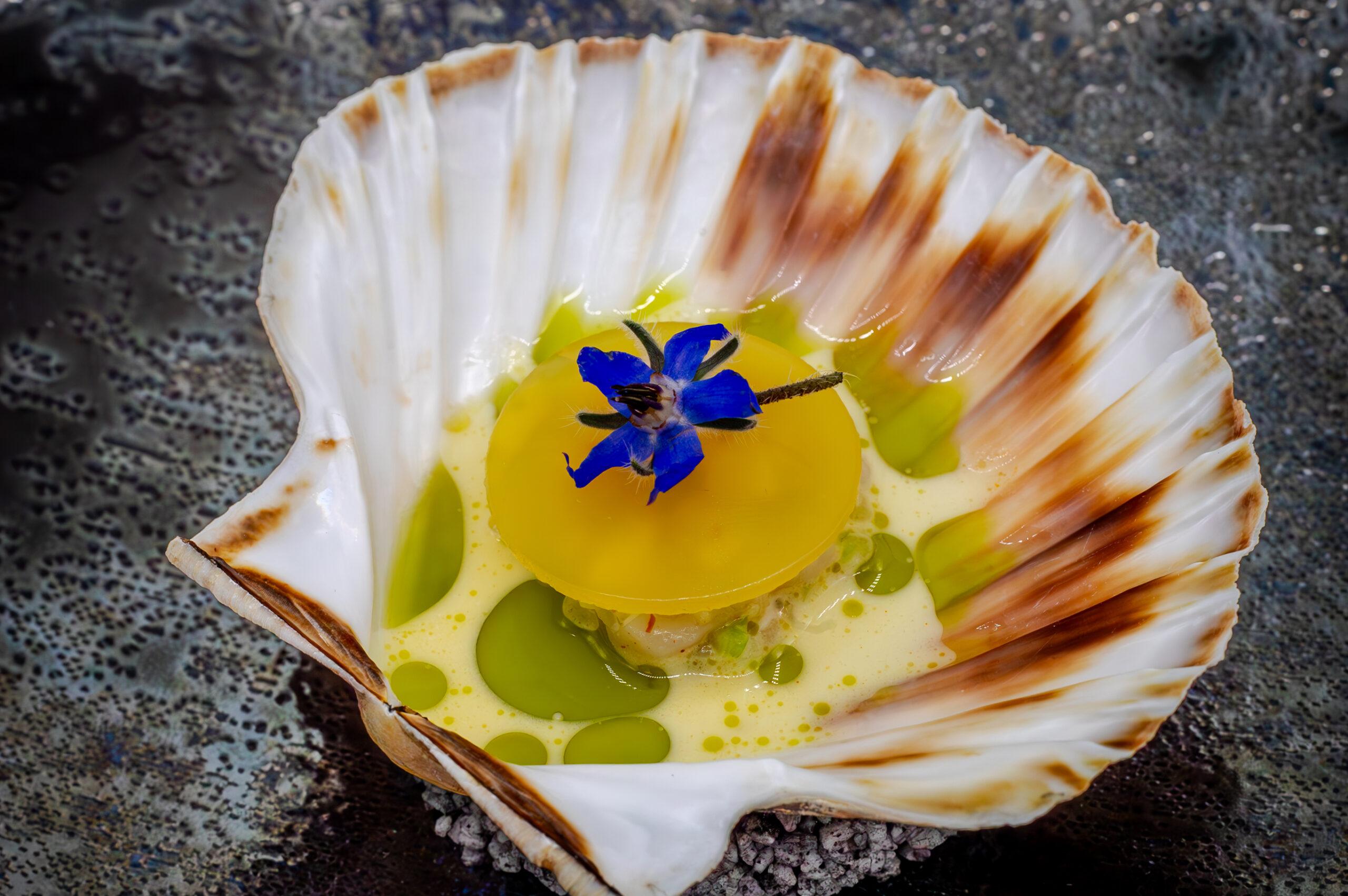 La Maison Younan logo