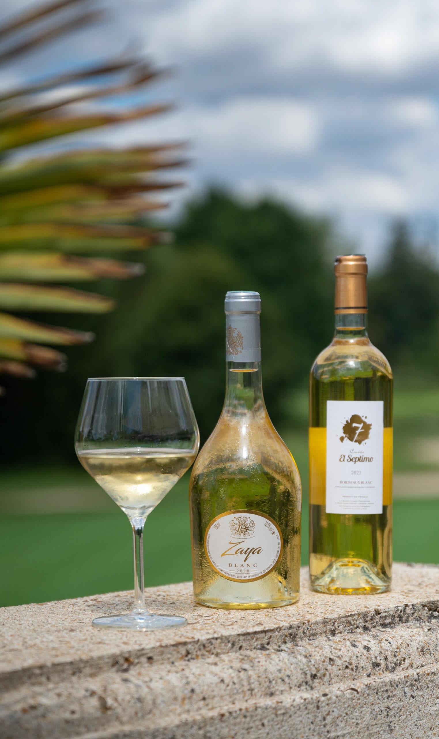 La Maison Younan logo